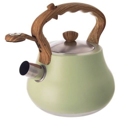Czajnik z gwizdkiem stalowy na gaz indukcja zielony GREENISH 3L ORION 113522