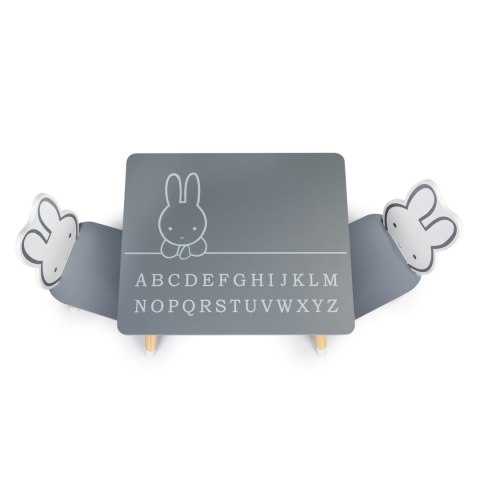 STÓŁ STOLIK + 2 KRZESŁA MEBLE DLA DZIECI ZESTAW ECOTOYS