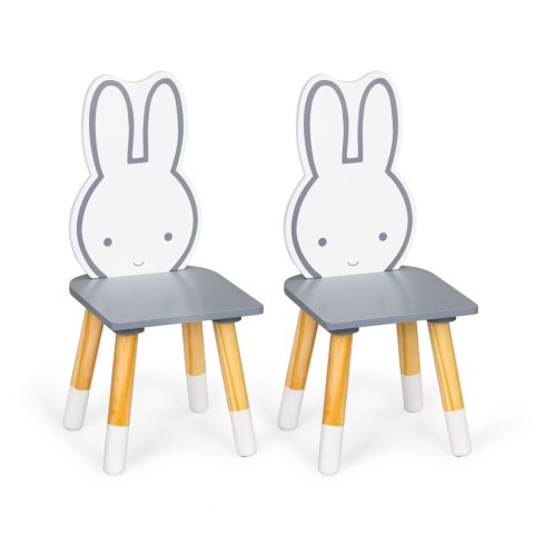 STÓŁ STOLIK + 2 KRZESŁA MEBLE DLA DZIECI ZESTAW ECOTOYS