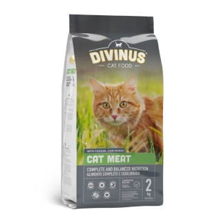 Divinus Cat Meat Chicken dla kotów dorosłych 2kg