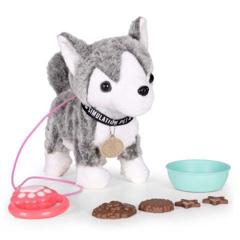 Interaktywny piesek na smyczy husky chodzi i merda ogonem melodyjki