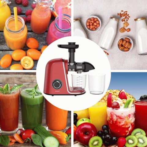 SOKOWIRÓWKA WOLNOOBROTOWA 150W DO OWOCÓW I WARZYW COLD PRESS KLAUSBERG KB-7870